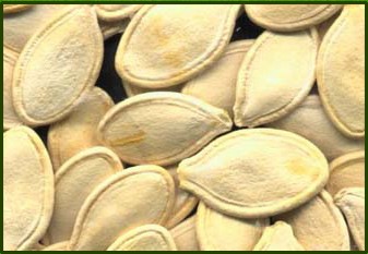 Pumpkin Seeds