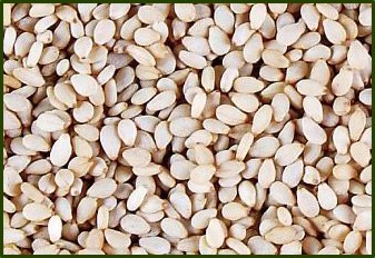 Sesame Seeds