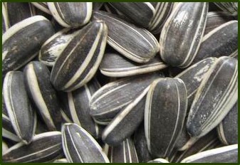 Sunflower Seeds